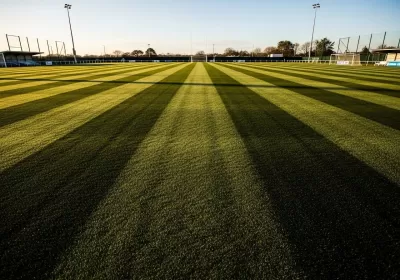 Imagen PNG para descargar